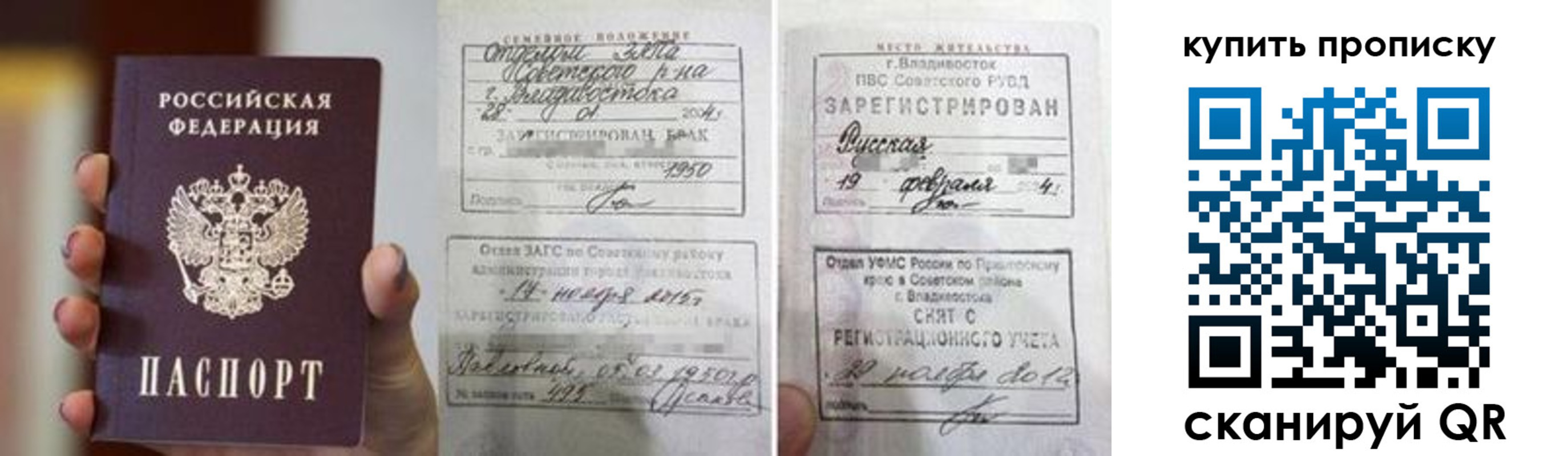 прописка в Оленегорске